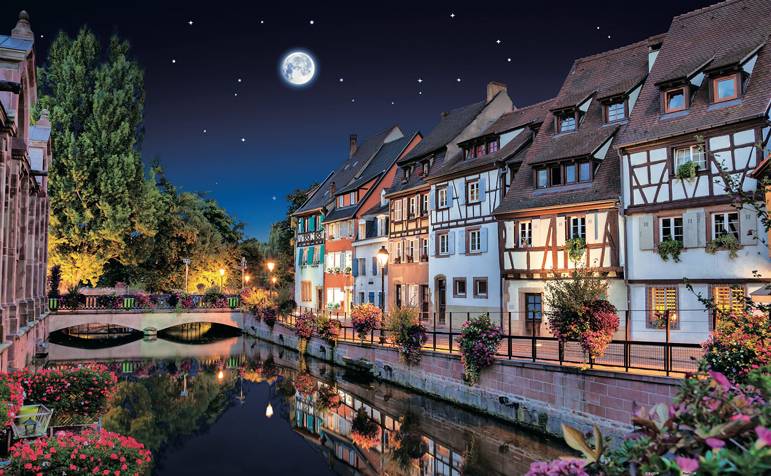 Pintoo Jigsaw Puzzles 1000 Piece for Adults - Colmar, France Beautiful Plastic Puzzle for Home Decor Zero Dust Easy Storage [H1784]