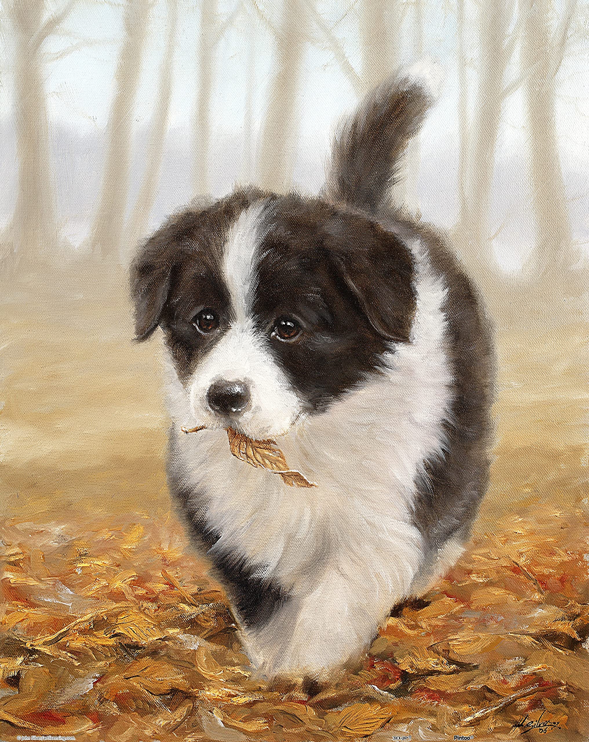 Pintoo Jigsaw Puzzles 500 Piece for Adults - John Silver - Border Collie Beautiful Plastic Puzzle for Home Decor Zero Dust Easy Storage [H2802]