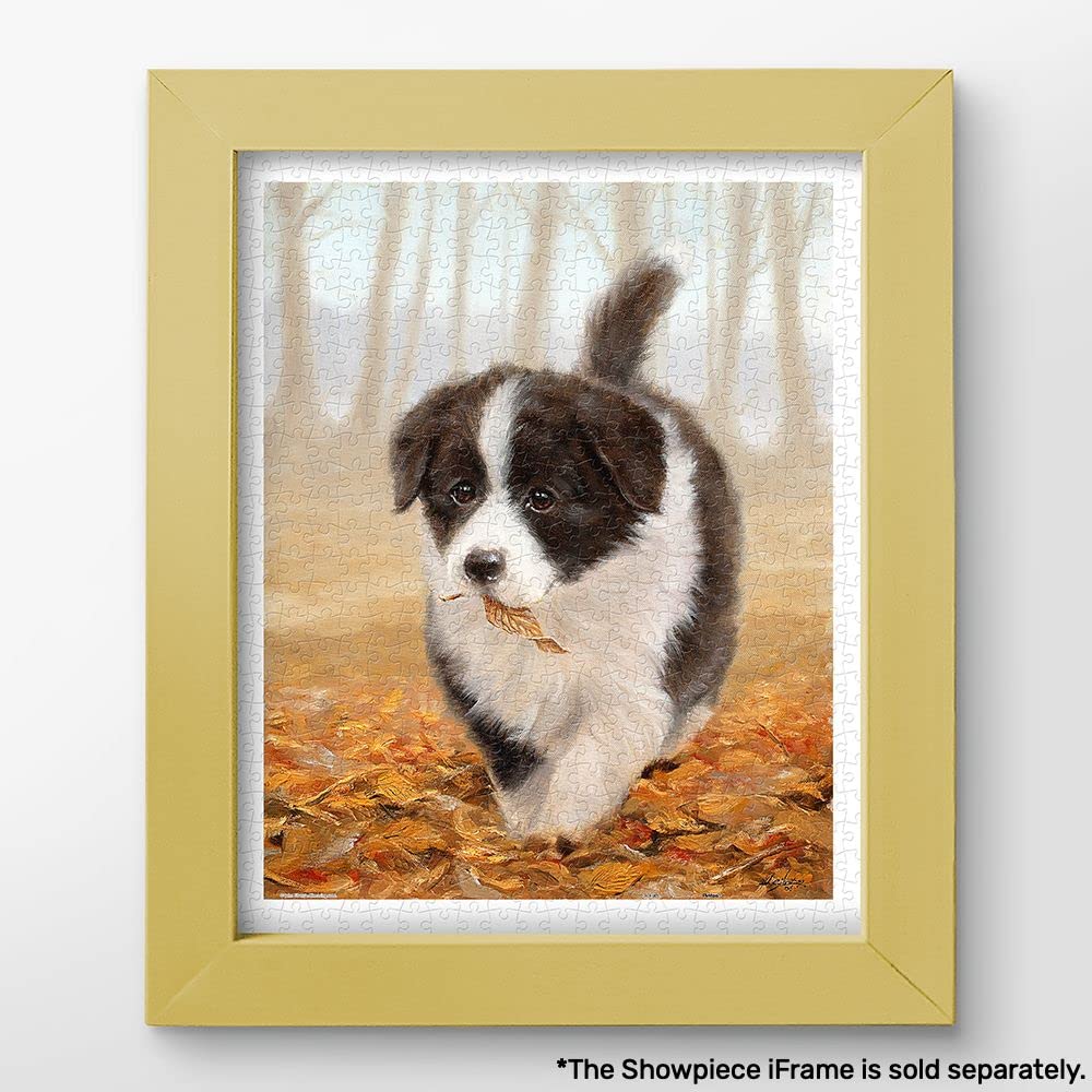 Pintoo Jigsaw Puzzles 500 Piece for Adults - John Silver - Border Collie Beautiful Plastic Puzzle for Home Decor Zero Dust Easy Storage [H2802] - Image 2