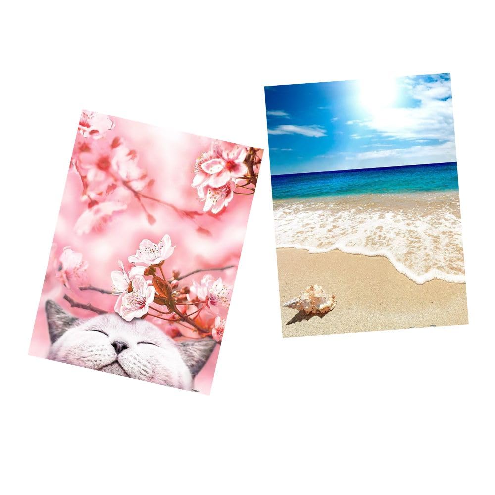 Pintoo Two Plastic Jigsaw Puzzles Bundle - 300 Piece - Cherry Blossom - Sakura Cat and 500 Piece - Seashell on The Beach [H2462+H1335]